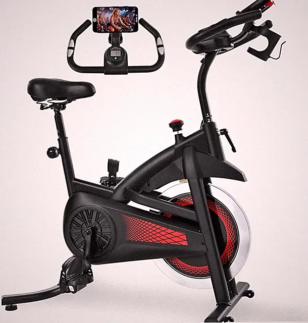 Exercise Bike Stationary Bike Indoor Cycling Bicycle for Home Gym Spinning Bike
