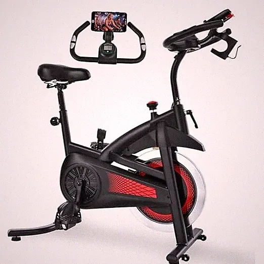 Exercise Bike Stationary Bike Indoor Cycling Bicycle for Home Gym Spinning Red